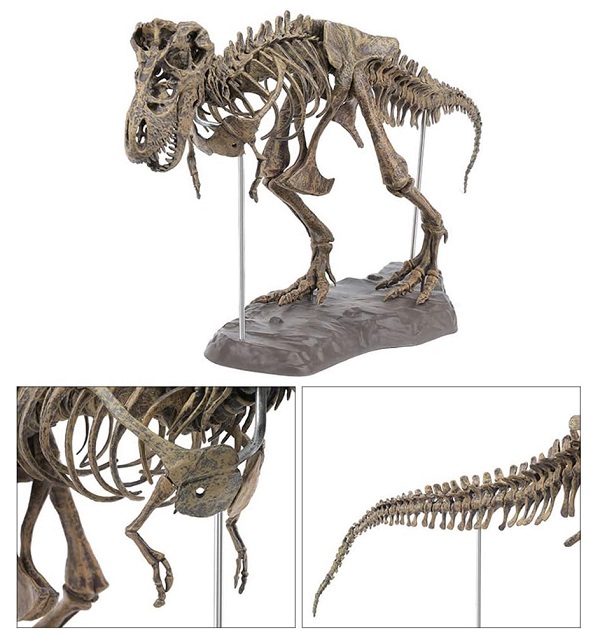 mo-hinh-bo-khung-xuong-khung-long-t-rex-hoa-thach-h5