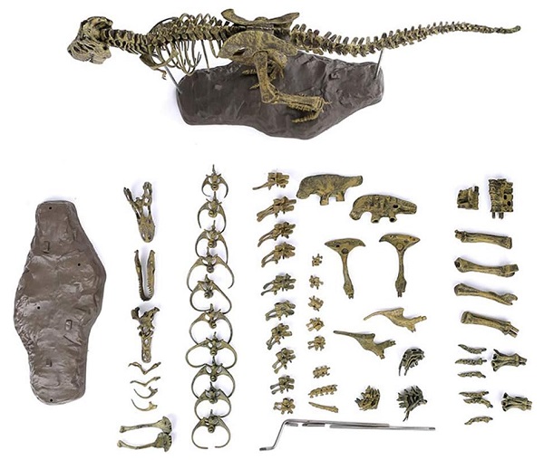 mo-hinh-bo-khung-xuong-khung-long-t-rex-hoa-thach-h6