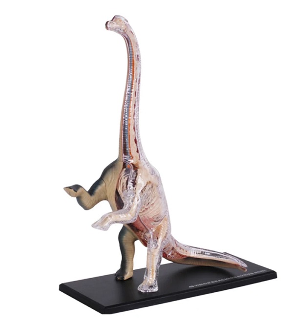 mo-hinh-khung-long-4d-brachiosaurus-h6
