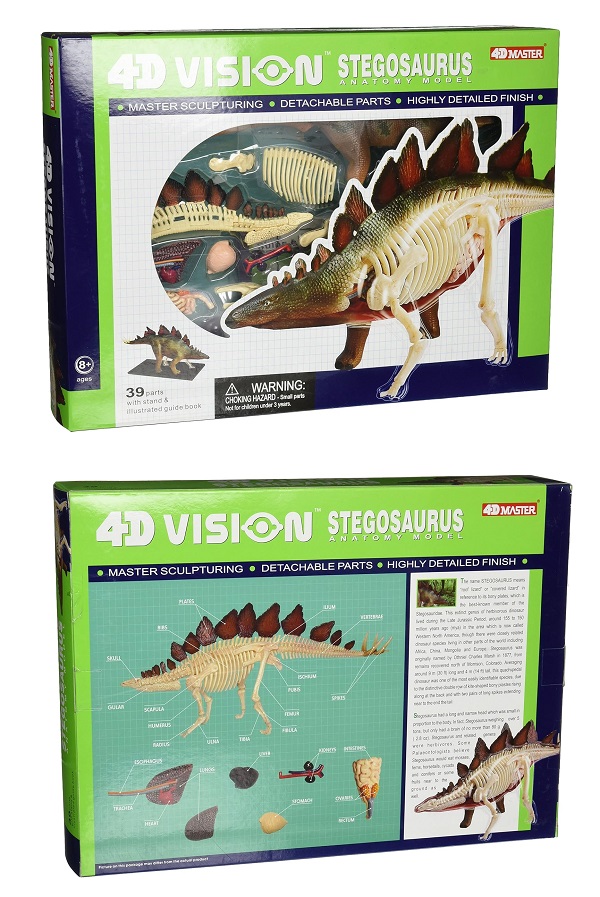 mo-hinh-khung-long-4d-stegosaurus-hinh-5