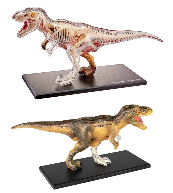 mo-hinh-khung-long-bao-chua-t-rex-4d-h5