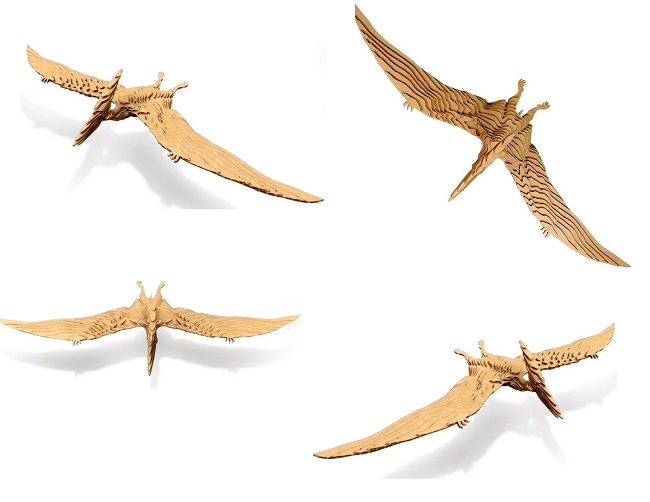 mo-hinh-khung-long-bay-bang-giay-pteranodon-h5