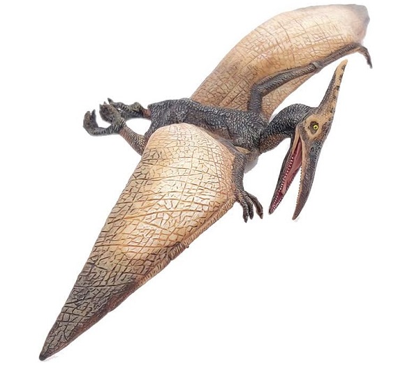 mo-hinh-khung-long-bay-pteranodon-papo-h5