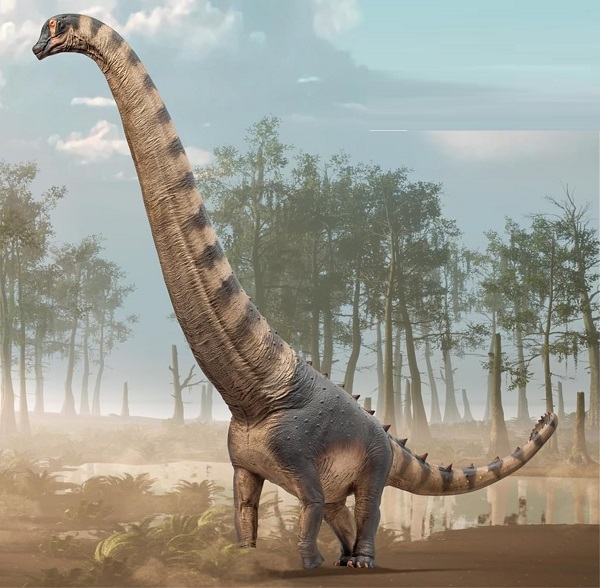 mo-hinh-khung-long-co-dai-alamosaurus-h5