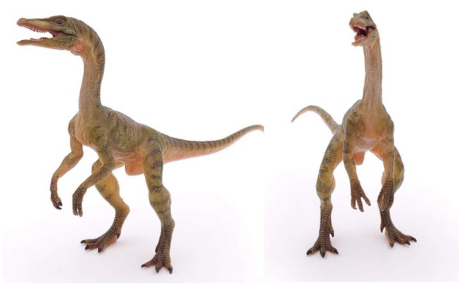 mo-hinh-khung-long-compsognathus-h9