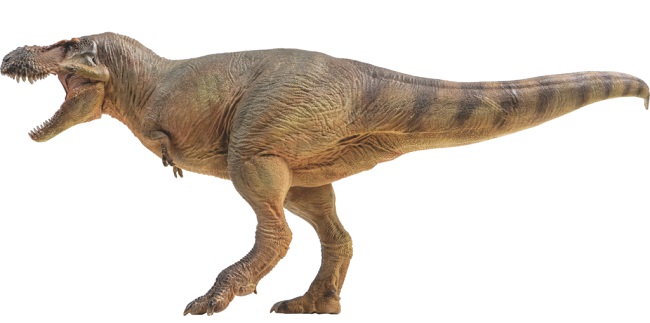 mo-hinh-khung-long-t-rex-pnso-h6