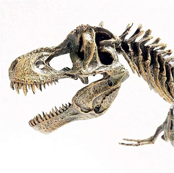 mo-hinh-xuong-khung-long-bao-chua-t-rex-h7