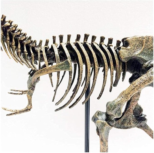 mo-hinh-xuong-khung-long-bao-chua-t-rex-h8