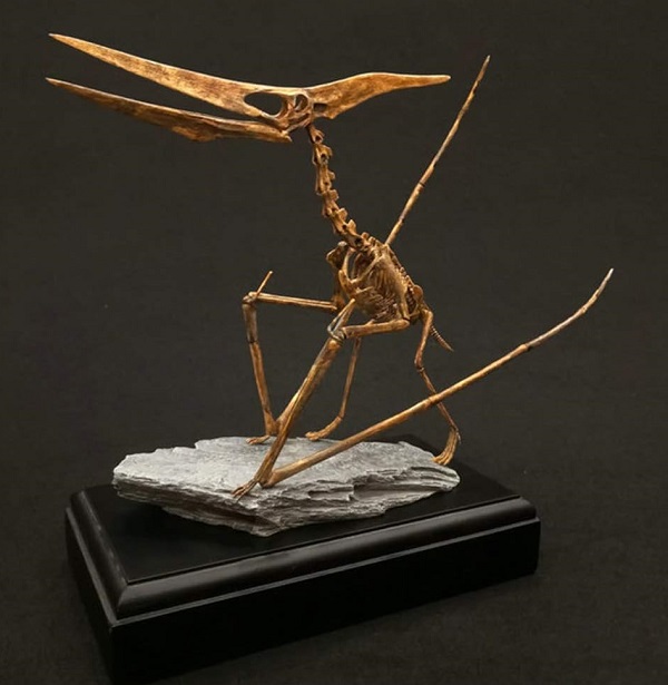 mo-hinh-xuong-khung-long-bay-pteranodon-h5