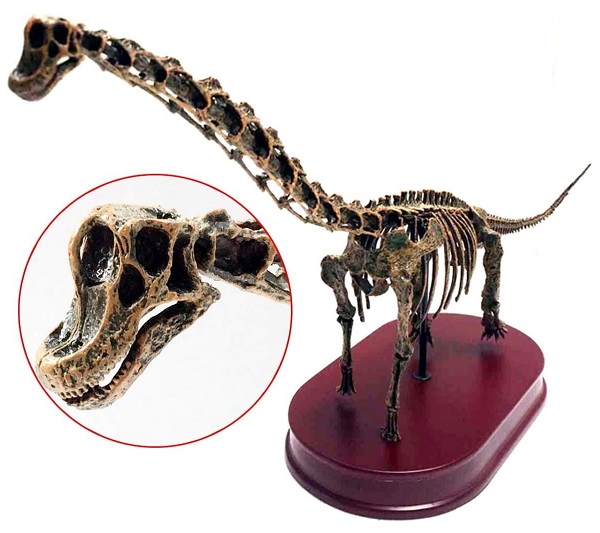 mo-hinh-xuong-khung-long-co-dai-brachiosaurus-h5