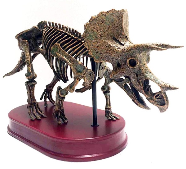 mo-hinh-xuong-khung-long-triceratops-h5