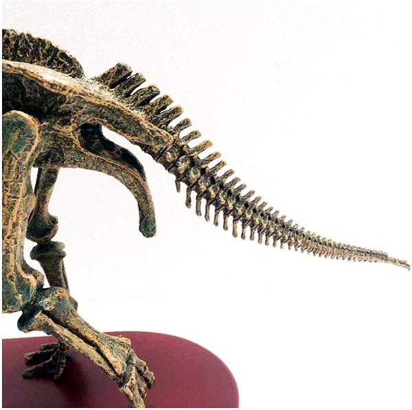 mo-hinh-xuong-khung-long-triceratops-h8