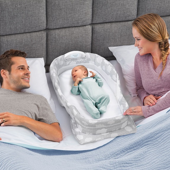 noi-ngu-chung-giuong-baby-delight-snuggle-nest-harmony-h6