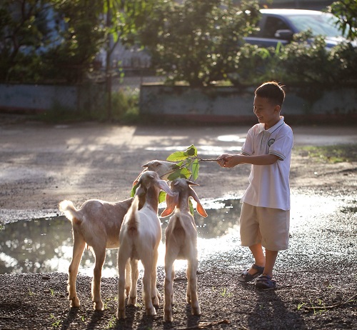 quan-cafe-Hera-Kids-co-khu-vui-choi-cho-be-o-bien-hoa-10