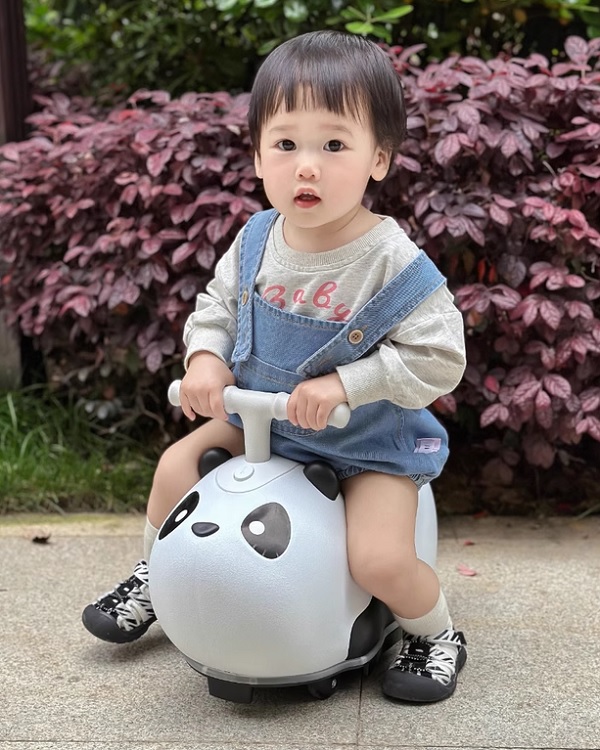 xe-choi-bap-benh-gau-h9