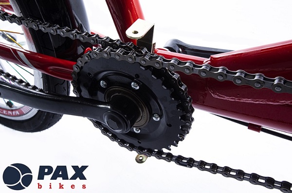 xe-dap-doi-gia-dinh-Pax-2-Sport-1