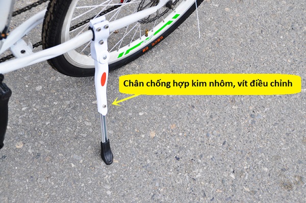xe-dap-doi-gia-dinh-nguoi-lon-va-tre-em-13