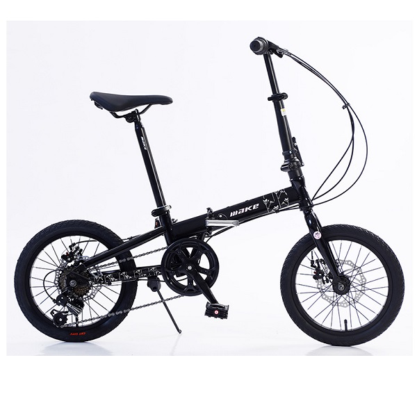 xe-dap-gap-tre-em-folding-bike-5