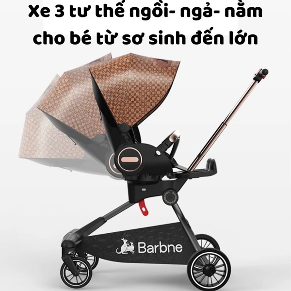 xe-day-baobaohao-v10-14
