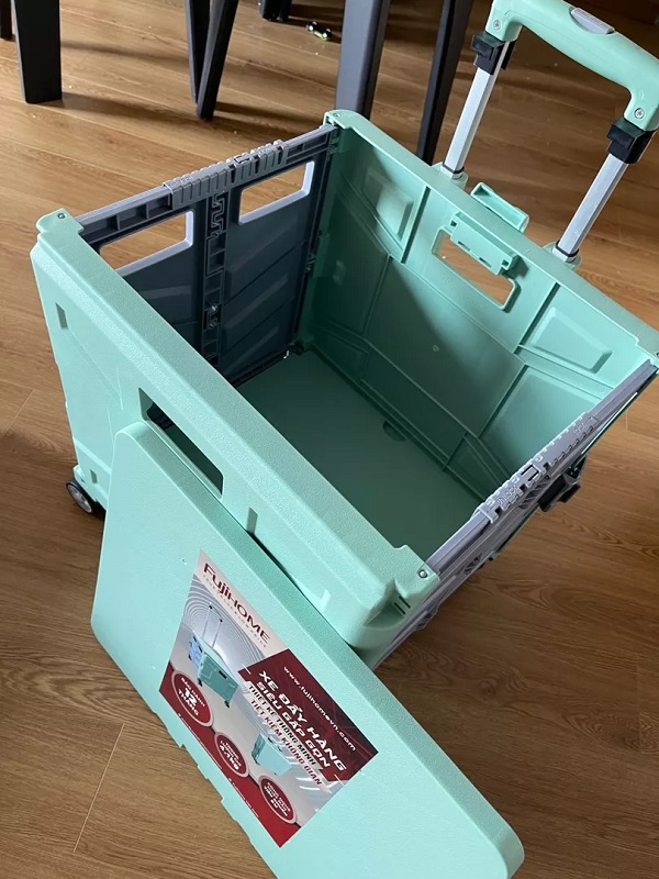 xe-keo-hang-di-cho-fujihome-st-250-h6